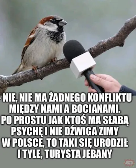 Wojna z bocianami