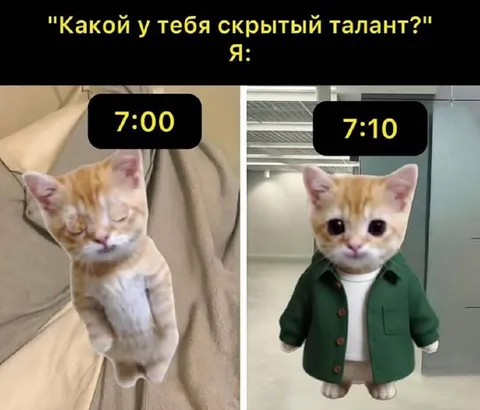 Скрытый талант вставать вовремя