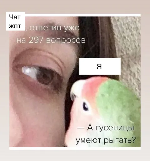 ЧатGPT отвечает на 297 вопросов