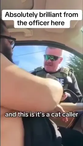 Cat Caller Gets a Ticket