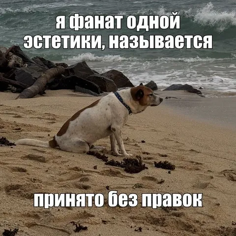 Фанат одной эстетики