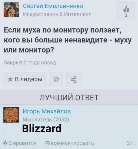 Муха или монитор