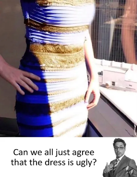 Can We Agree the Dress Is Ugly