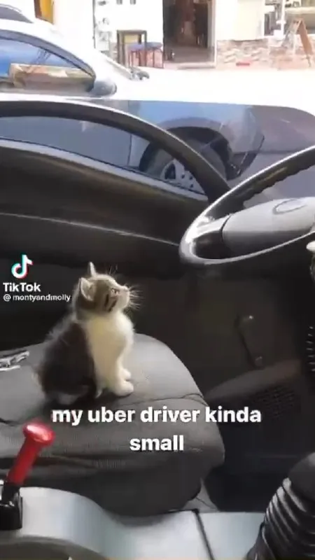 My Uber Driver Is Small