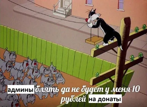 Админы, у меня нет 10 рублей