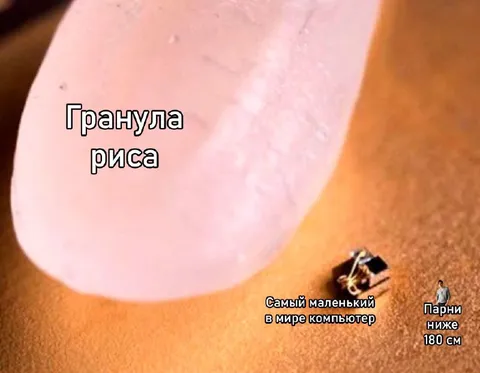 Гранула риса и маленький компьютер