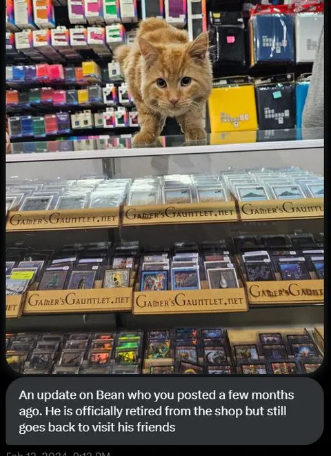 Bean Visits His Friends