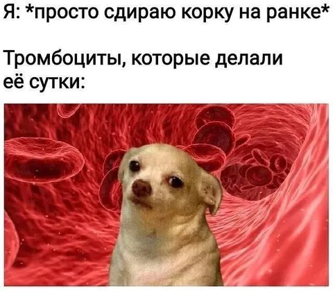 Тромбоциты делали ей сутки