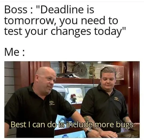 Deadline Tomorrow, More Bugs