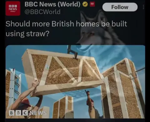 Wolf Approves Straw Houses