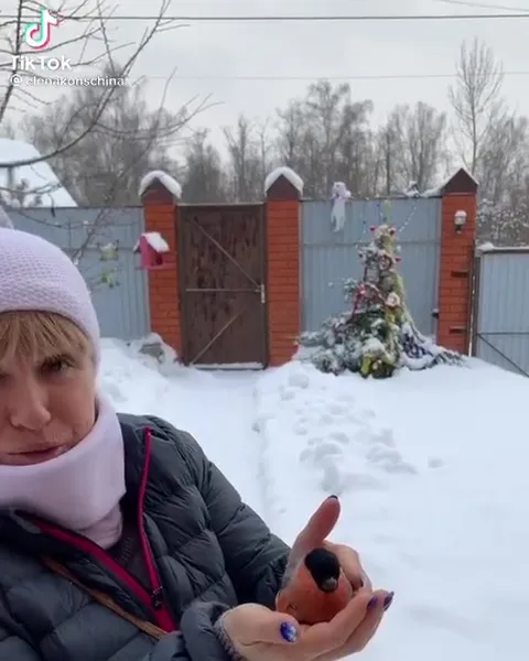 Снегирь прилетел на ладонь