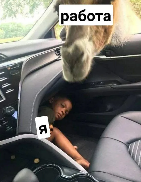 Я прячусь от работы
