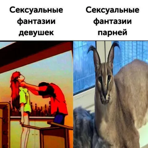 Сексуальные фантазии девушек и парней