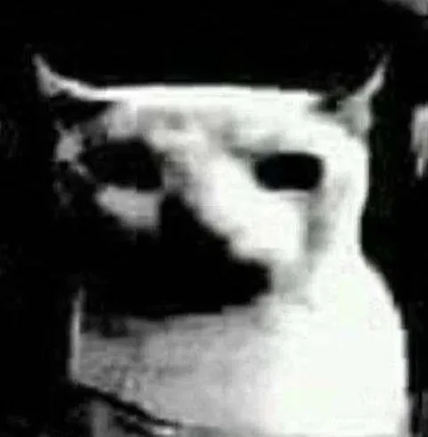 Жуткий белый кот