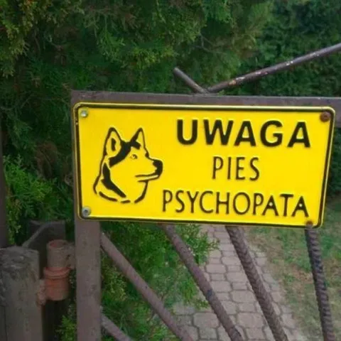 Uwaga, pies psychopata
