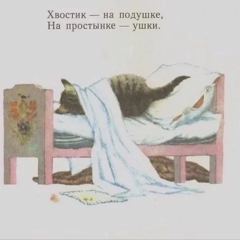 Кот спит на подушке