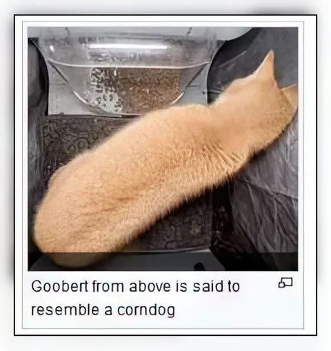 Goobert Resembles a Corndog