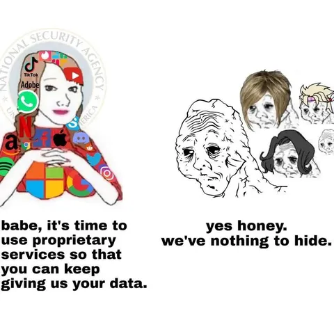 Nothing to Hide Data Meme
