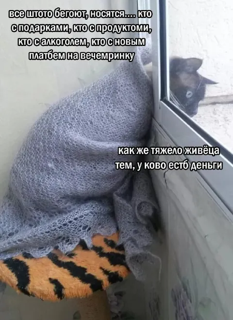 Тяжело живётся богатым
