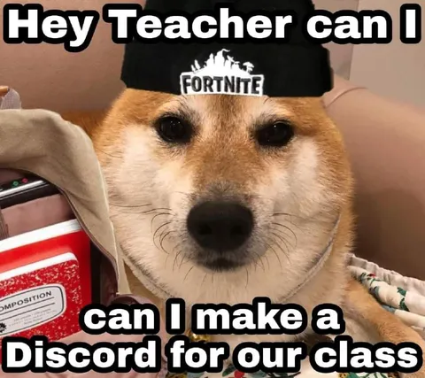 Shiba Asks for a Class Discord