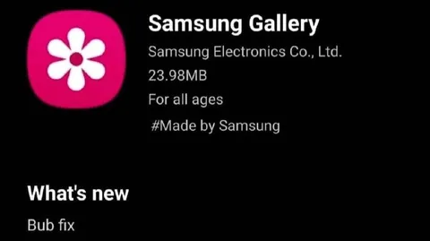 Samsung Gallery Bub Fix