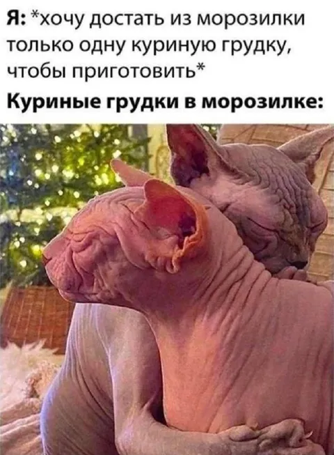 Куриные грудки в морозилке