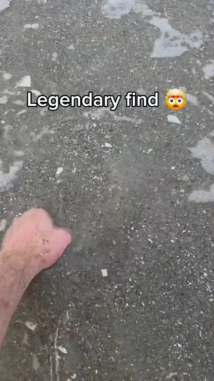 Legendary Monster Energy Find
