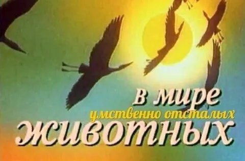 В мире умственно отсталых животных