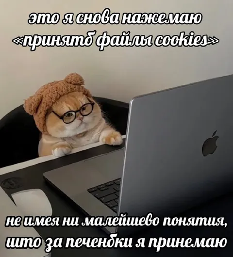 Кот принимает файлы cookie