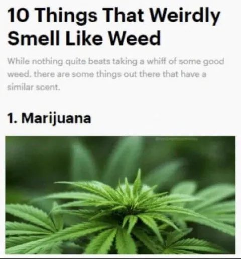 Ten Things That Smell Like Weed