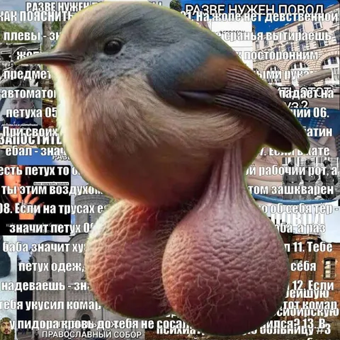 Птица на фоне странного текста