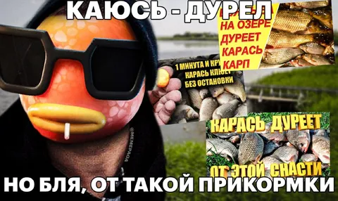 Карась дуреёт от прикормки