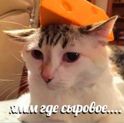 Хмм где суровое