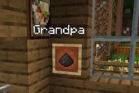 Minecraft Grandpa Coal Display