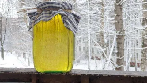Банка в зимнем лесу