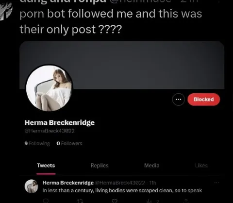 Porn Bot’s Only Post