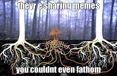 They’re Sharing Memes