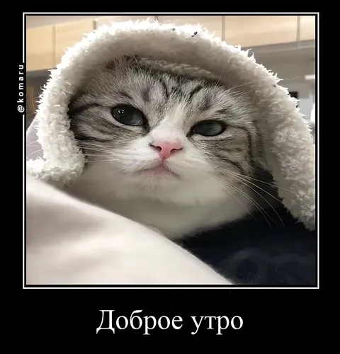 Доброе утро, соня