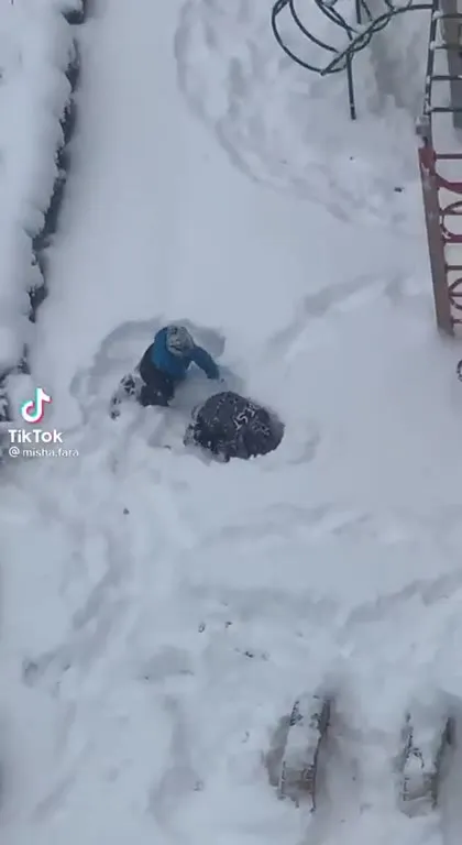 Ребёнок спасает собаку из снега