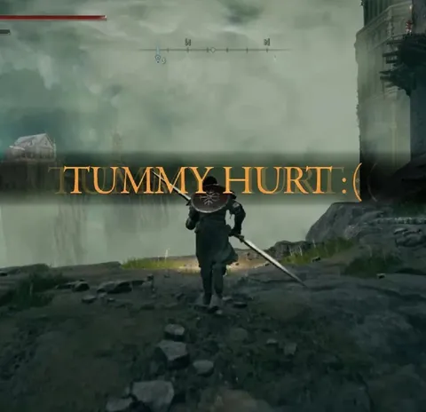 Tummy Hurt Elden Ring