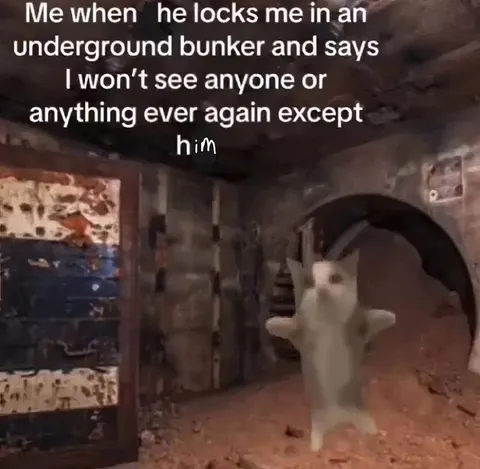 Underground Bunker Cat