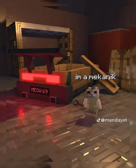 Cat Mechanic in Minecraft