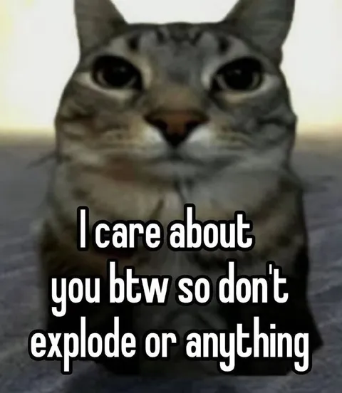 Cat Care Warning