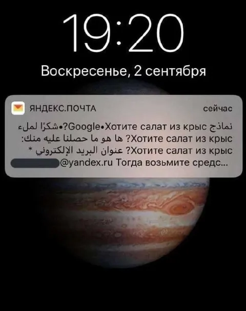 Салат из крыс от Яндекс.Почты