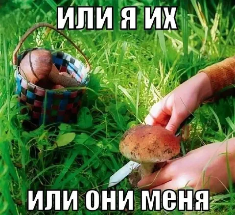 Или я их, или они меня