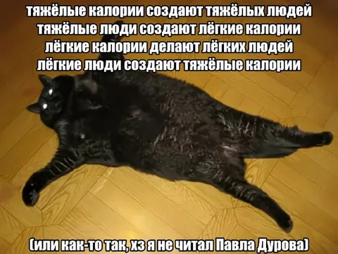 Тяжёлые калории и лёгкие люди