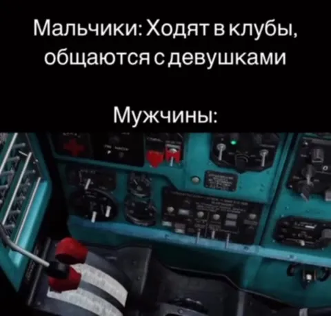 Мужчины выбирают кабину самолёта
