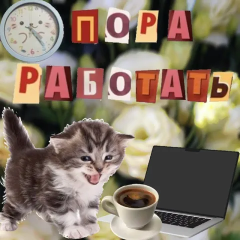 Пора работать с котёнком