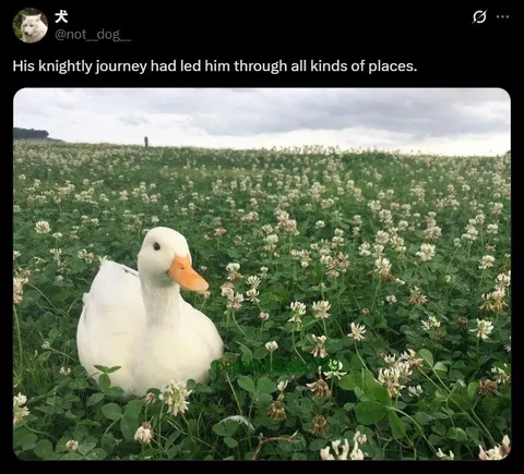 Knightly Journey Through the Clover