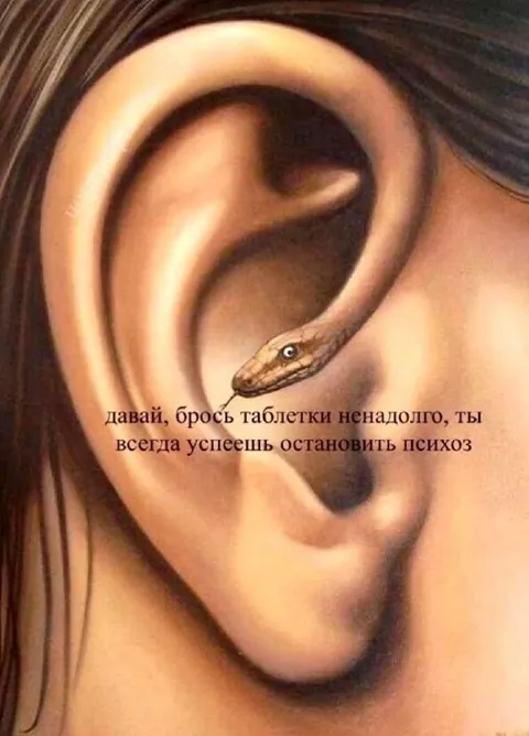 Змейка уговаривает бросить таблетки